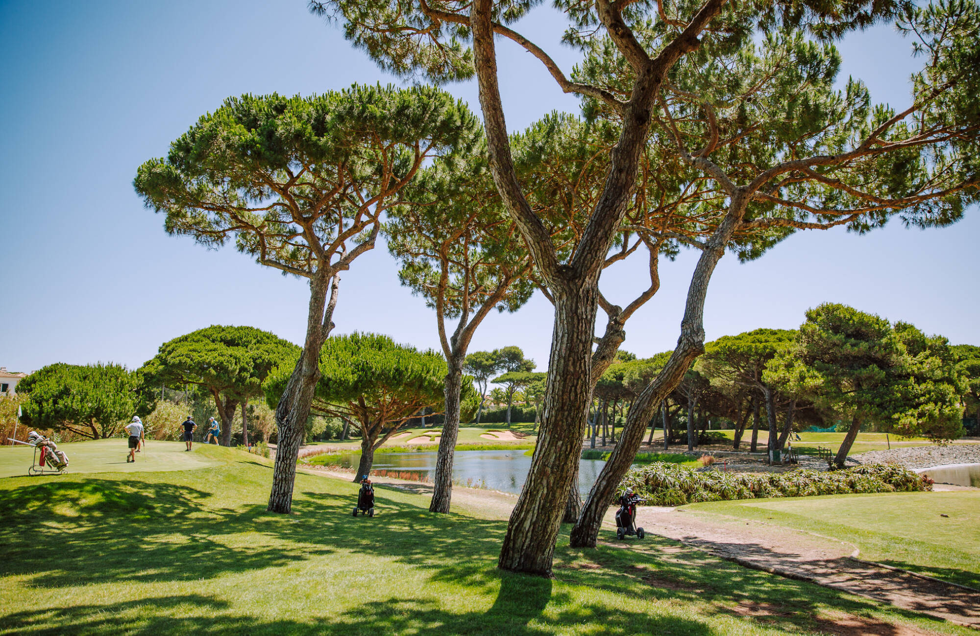Robert Trent Jones, Sr. Biography
